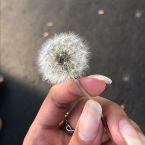 Meet your Posher, Trinity